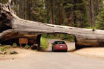 California Car Insurance